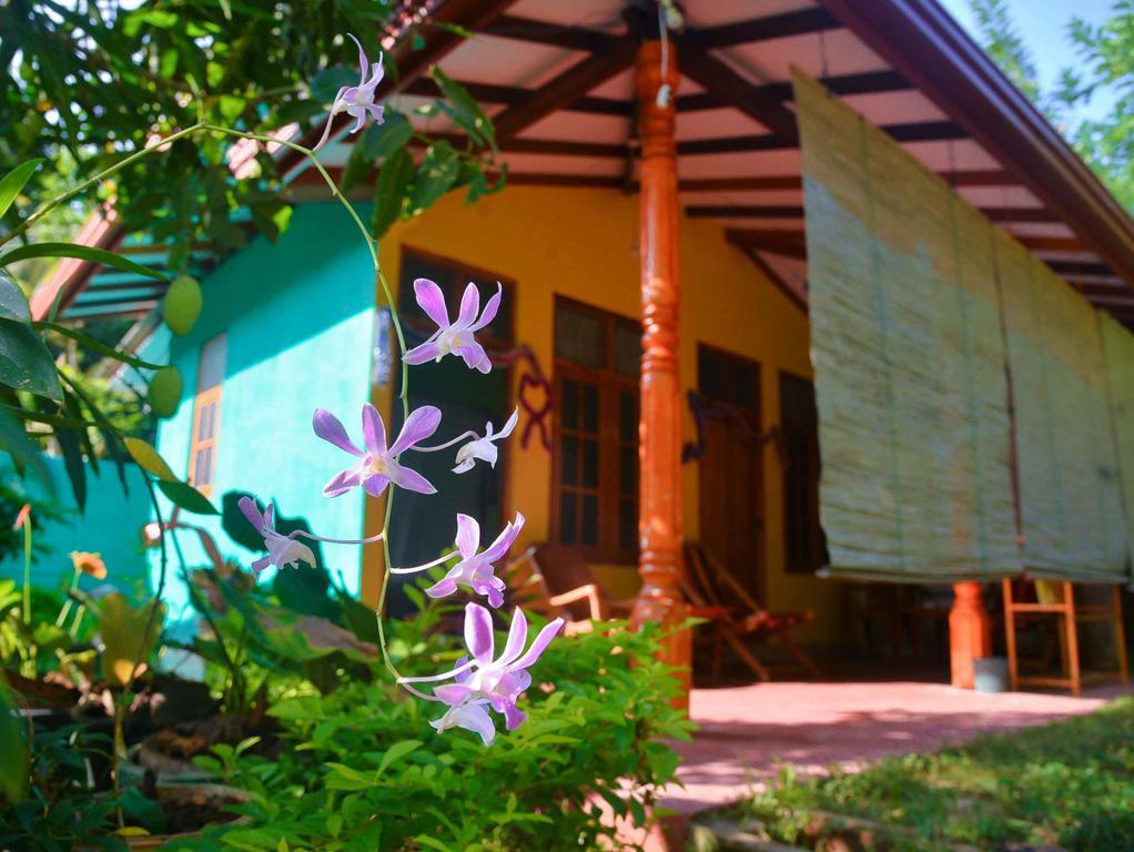 Nethmi Homestay & Restaurant Tangalle Exterior photo